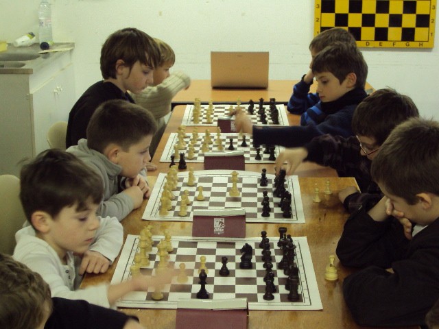 DSC00224.jpg