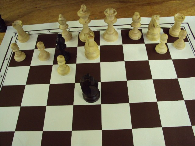 DSC00246.jpg